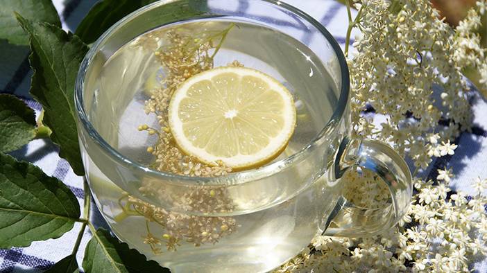 Kettle'daki su kansere mi neden oluyor? Aynı suyu tekrar kaynatınca ne olur? 6